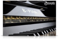 B-PIAN