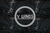 VWinds Clarinets