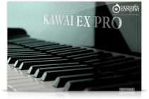 KAWAI-EX PRO
